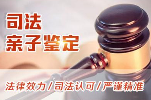 福州司法DNA亲子鉴定要如何办理,福州司法DNA鉴定出结果时间